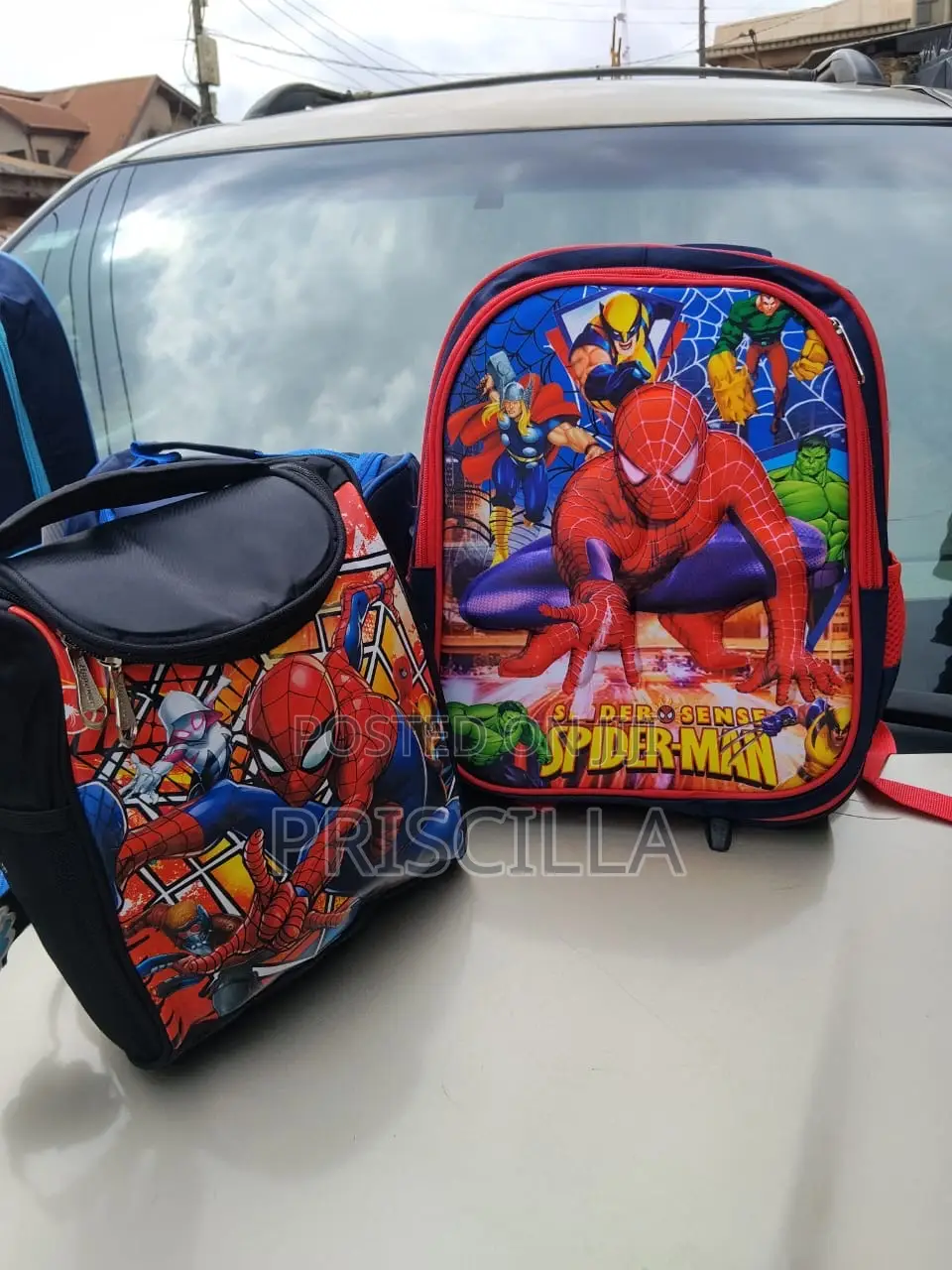 School Bag and Lunch Bag