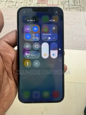 Apple iPhone 13 Pro Max 256 GB Silver