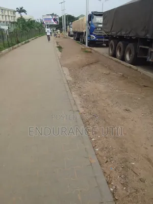 Dangote and Bua Cement for Sell