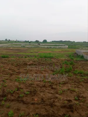 Distressed Sale: 1000sqm of Land