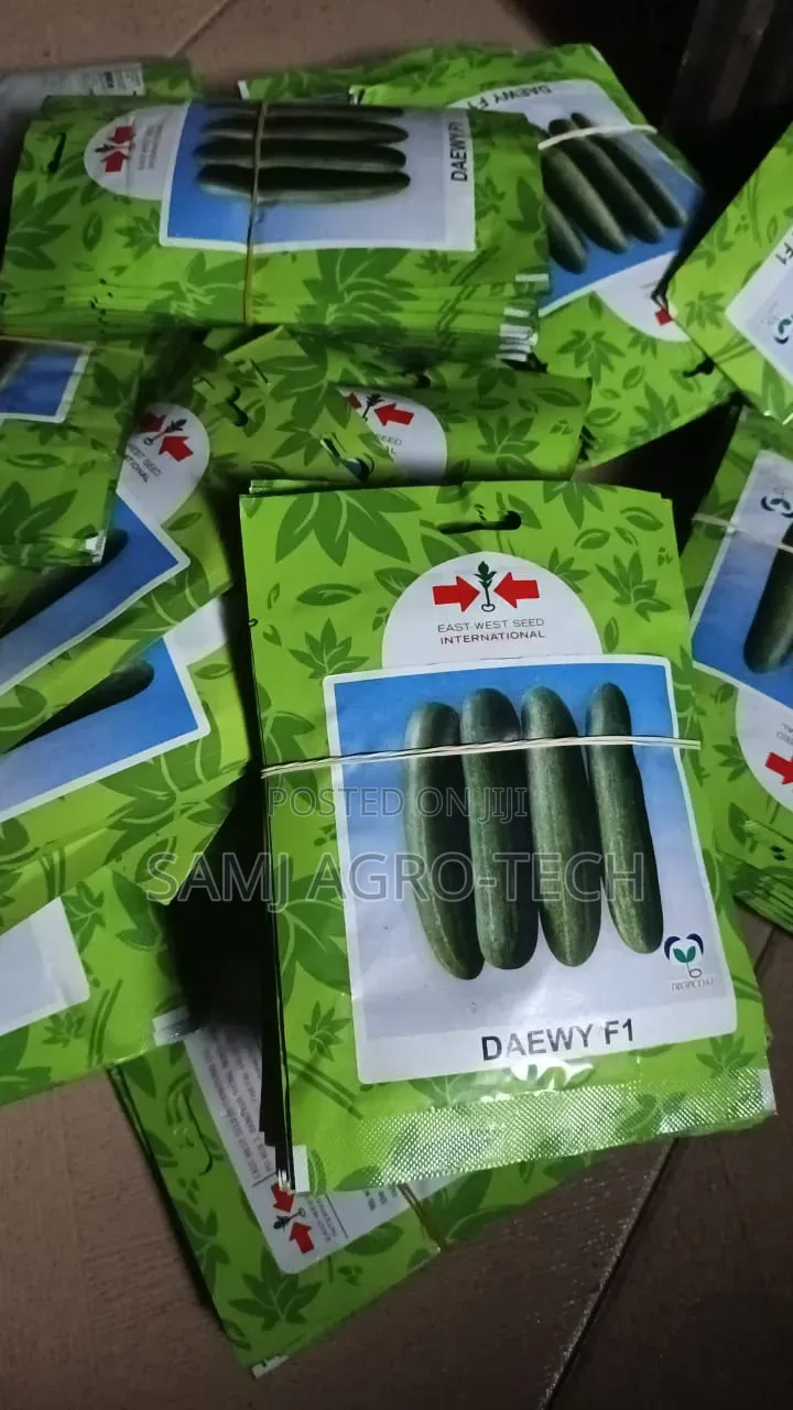 Daewy F1 Cucumber