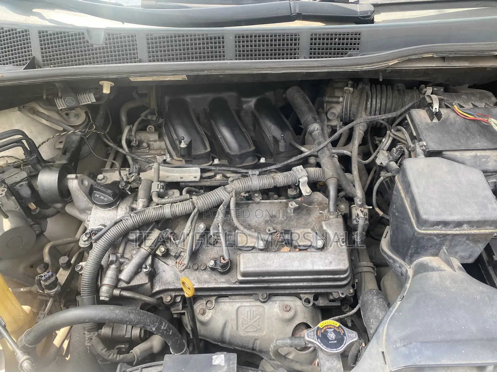 Toyota Sienna LE 7 Passenger Mobility 2011