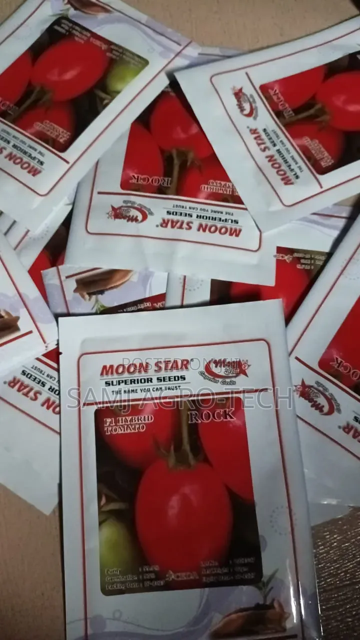 Rock F1 Tomato Seeds