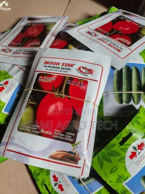 Rock F1 Tomato Seeds