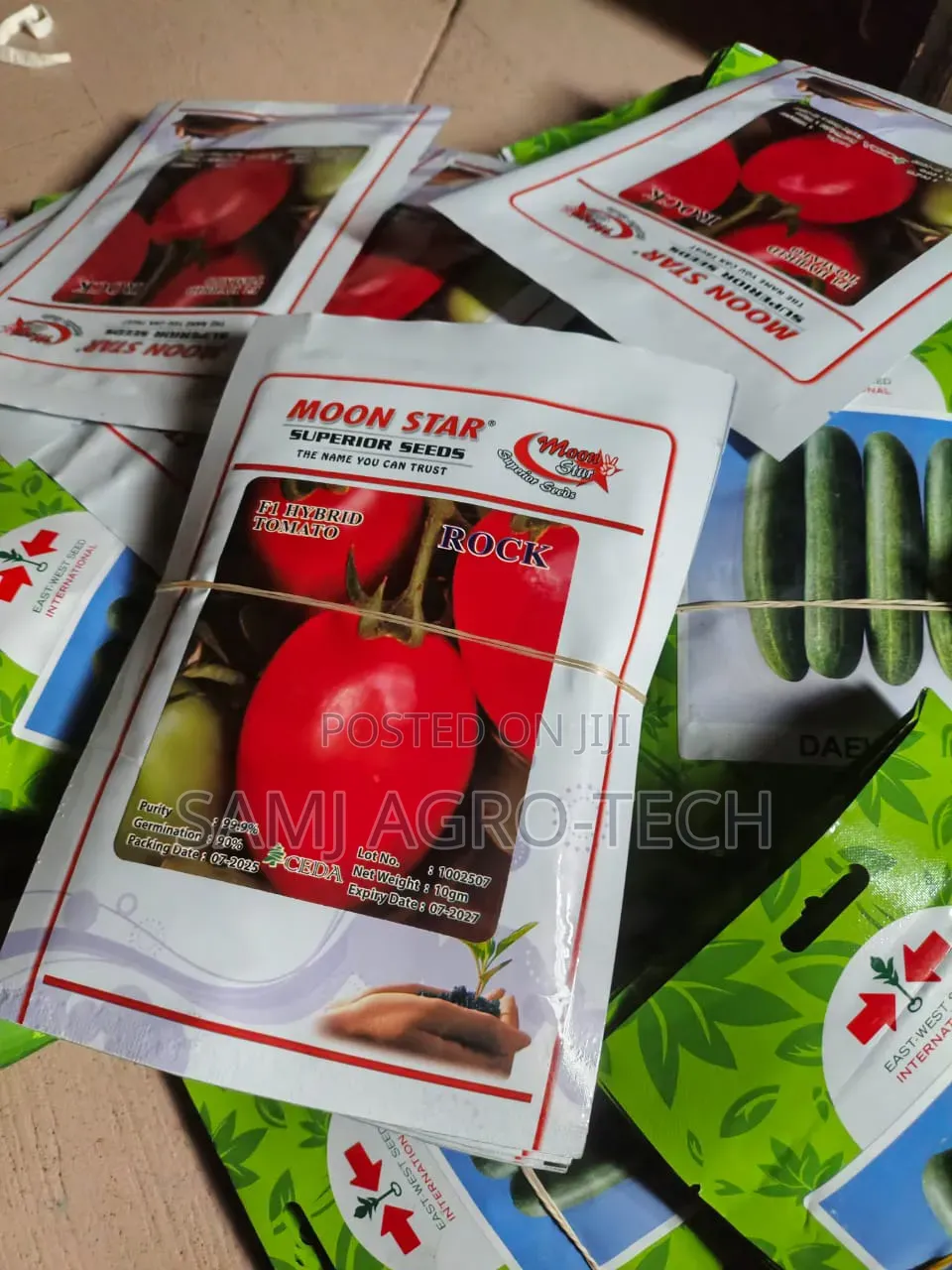 Rock F1 Tomato Seeds