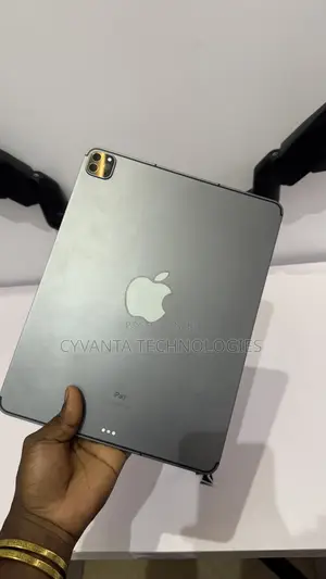 Apple iPad Pro 256 GB Gray