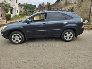 Lexus RX 2008 Gray