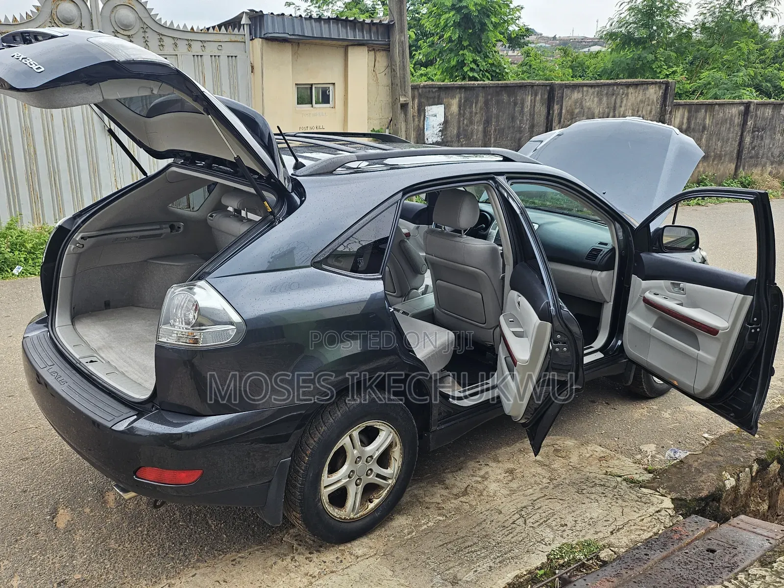 Lexus RX 2008 Gray
