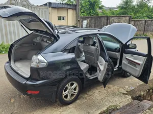 Lexus RX 2008 Gray