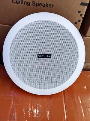 50w Sky-Tec 8inches Big Magnet Ceiling Speaker With Bass and Trouble
