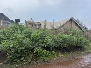2plot and Half Land in Ntigha,Abia State