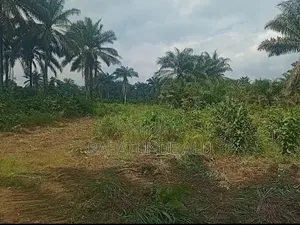 450sqm Plot of Land on Sale.