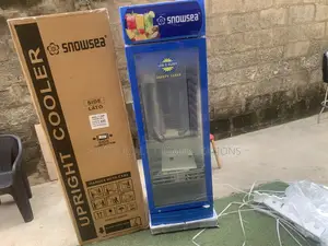 SNOWSEA LC-300W Showcase Fridge Design for Maximum Product Visibility