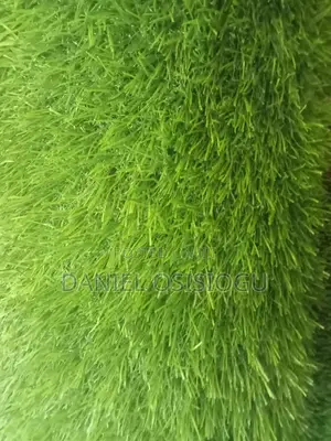 Carpets Grass
