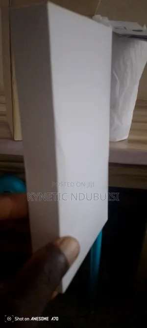 Portable Projector Screen