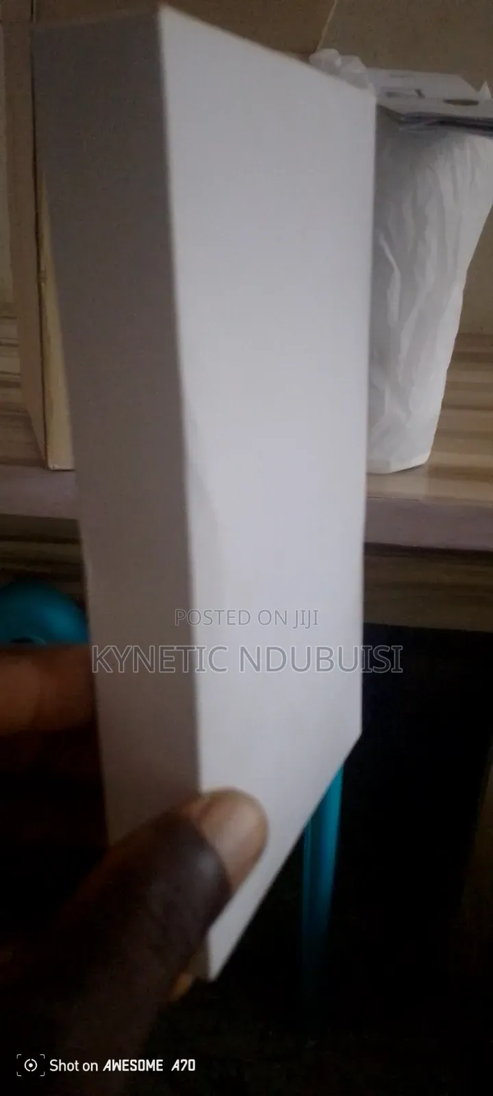 Portable Projector Screen