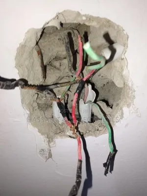Professional Electrician