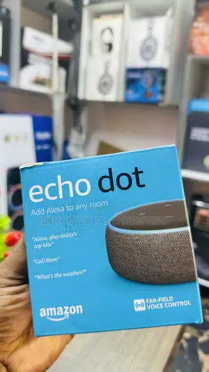 Echo Dot Alexa Voice Command