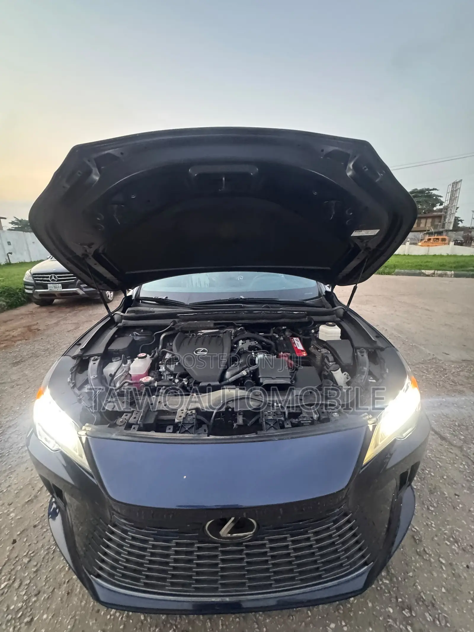 Lexus RX 2024 Blue