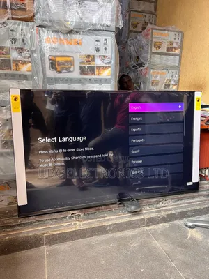 Hisense 55" Inches CANVAS Framed Television