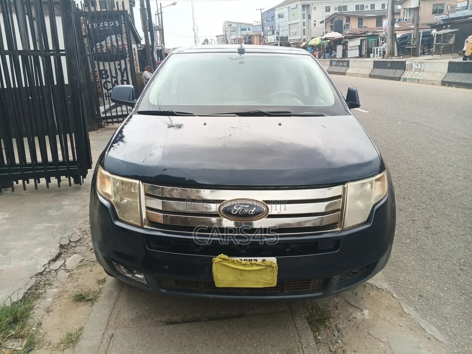 Ford Edge 2008 Blue