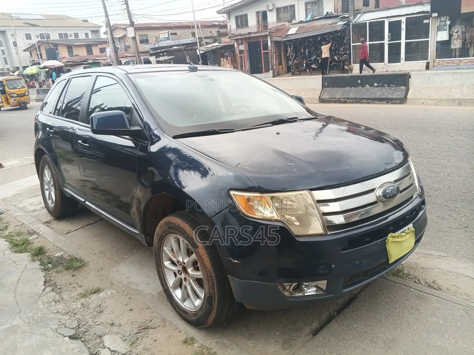 Ford Edge 2008 Blue