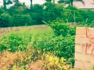 URGENT SALE: Prime 1 Full Plot in Lodu Estate, Umuahia!