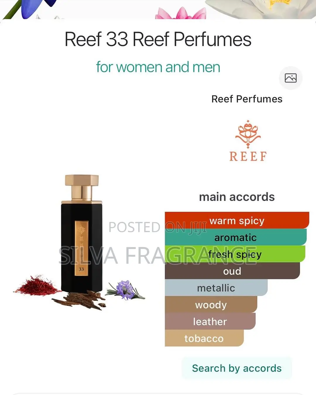 Reef 33 Perf