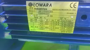 Original Lowara Pump