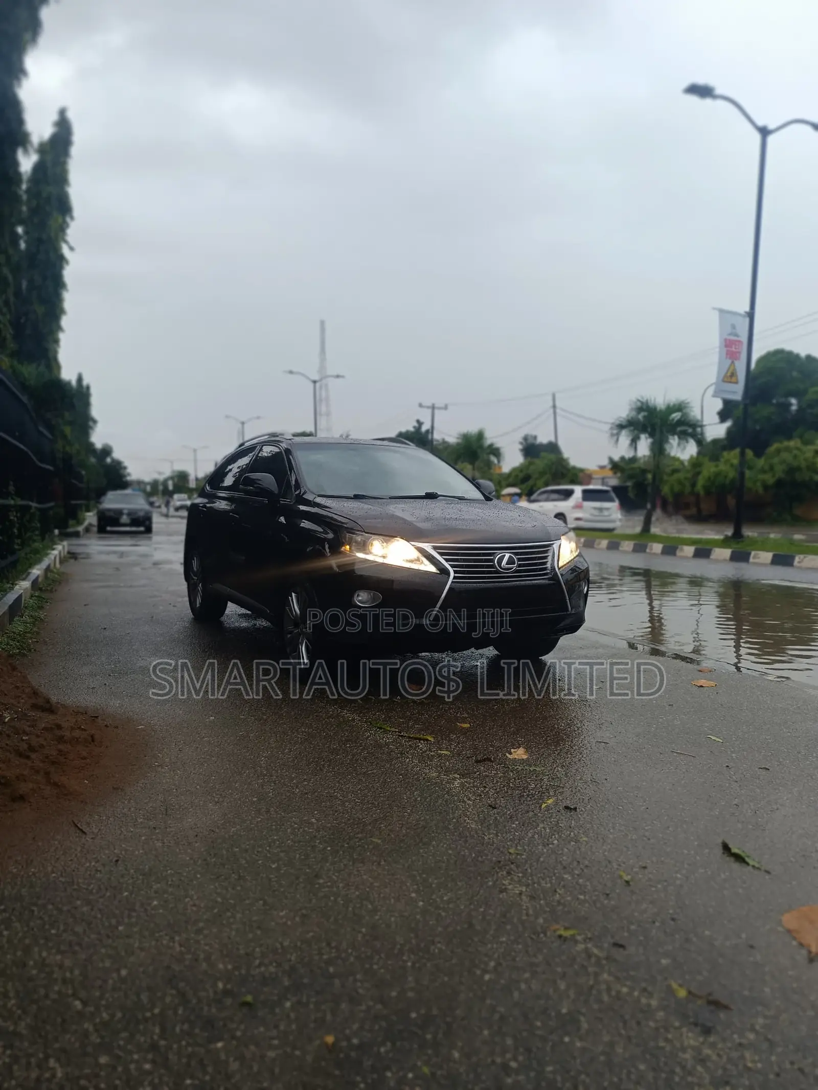 Lexus RX 2014 Black
