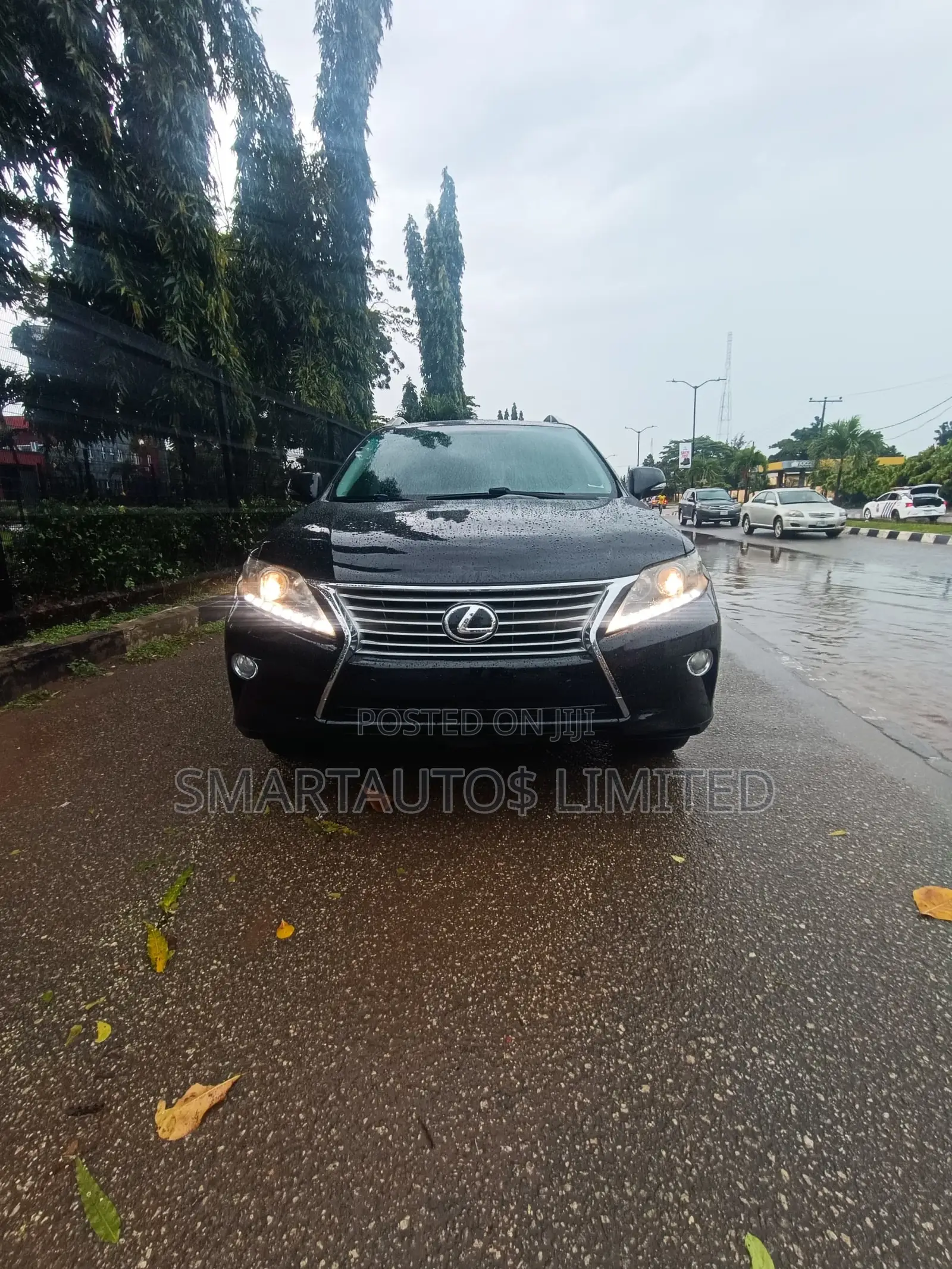 Lexus RX 2014 Black