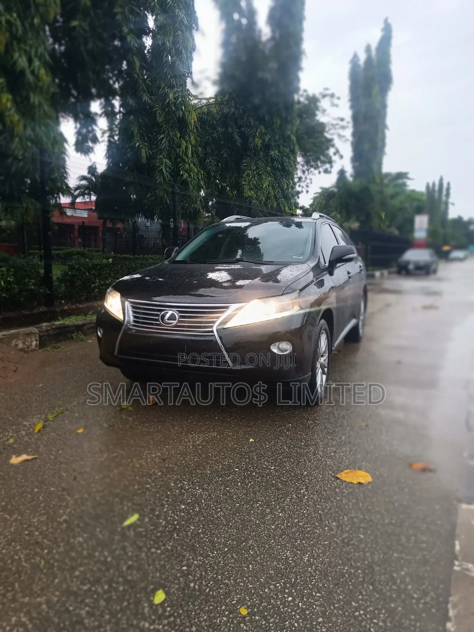 Lexus RX 2014 Black