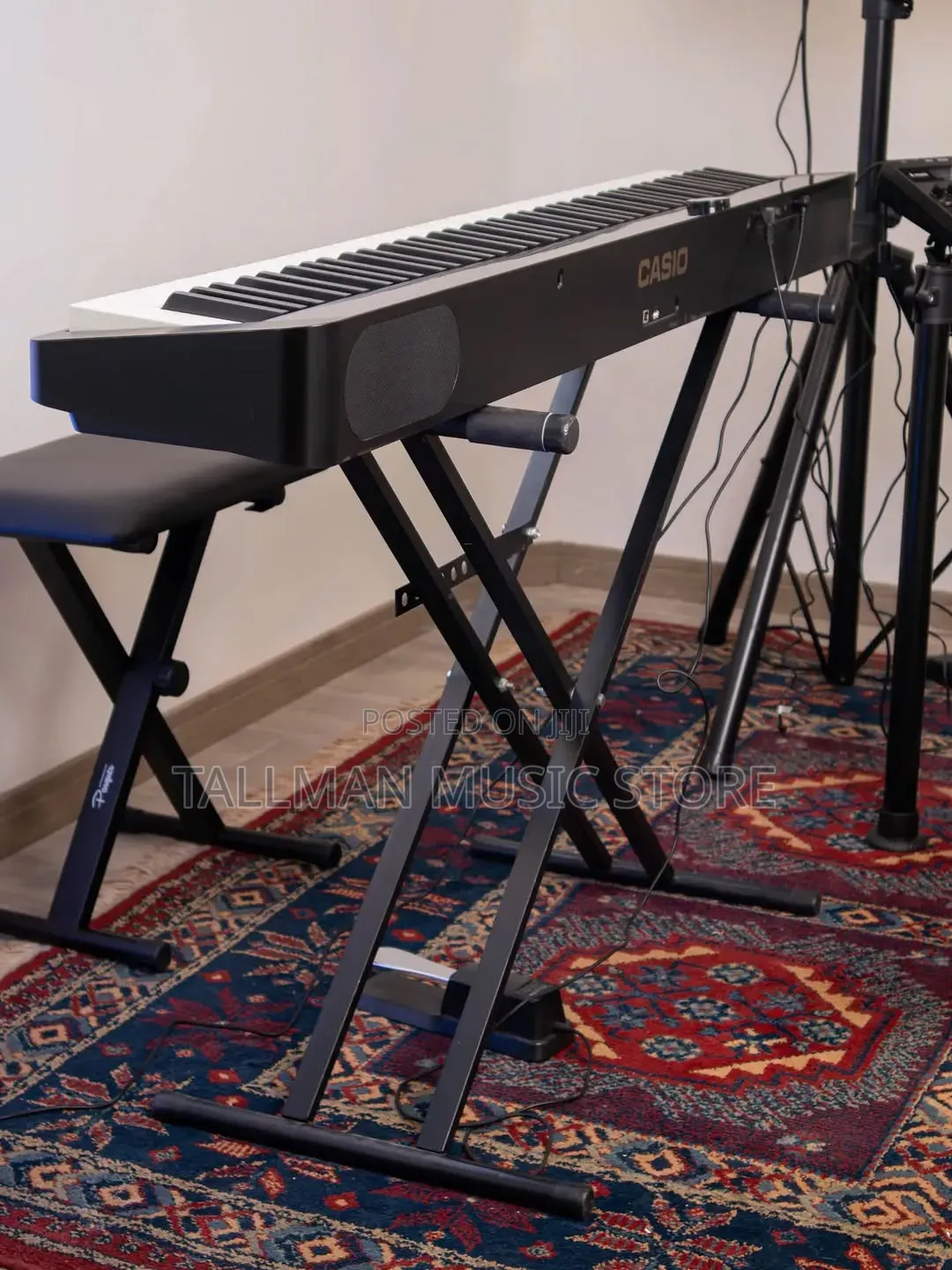 Casio Privia Px-1100