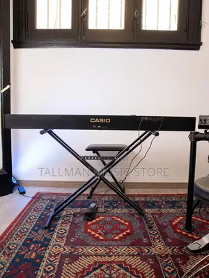 Casio Privia Px-1100