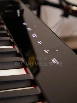 Casio Privia Px-1100