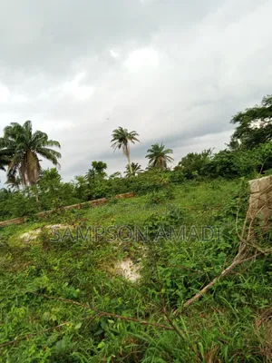 Complete Two Plot of Land for Sale at Omagwa .