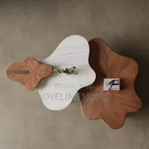 Coffee Table/ Living Room Center Table