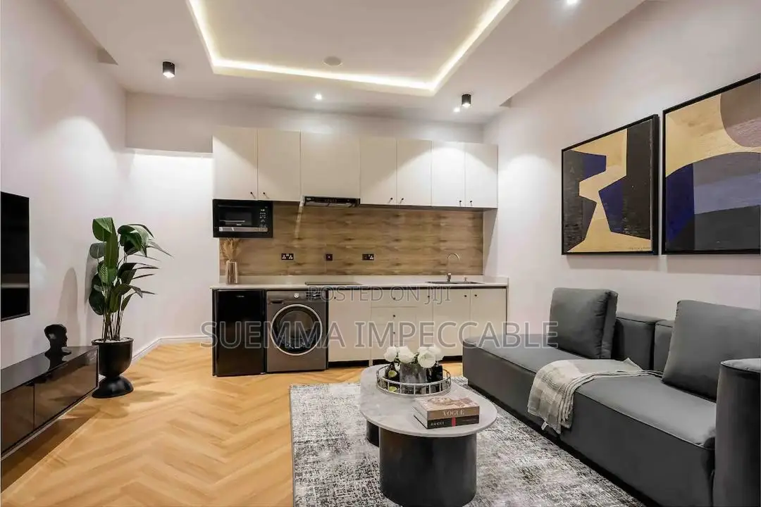 Luxurious Grey One Bedroom