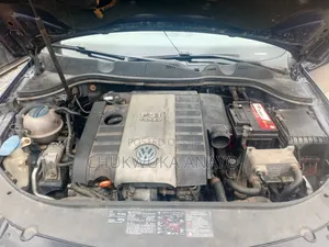 Volkswagen Passat 2009 Blue