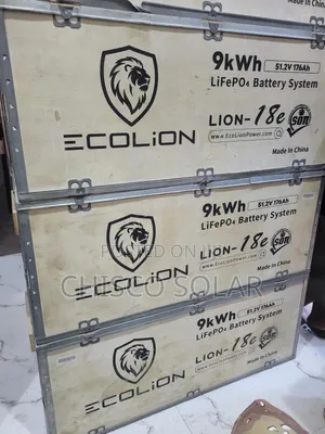 9kwh 48v Ecolion Lithium Batteries