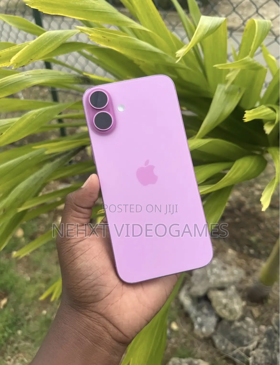 Apple iPhone 16 Plus 128 GB Pink