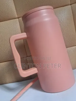 Stanley Flask With Straw
