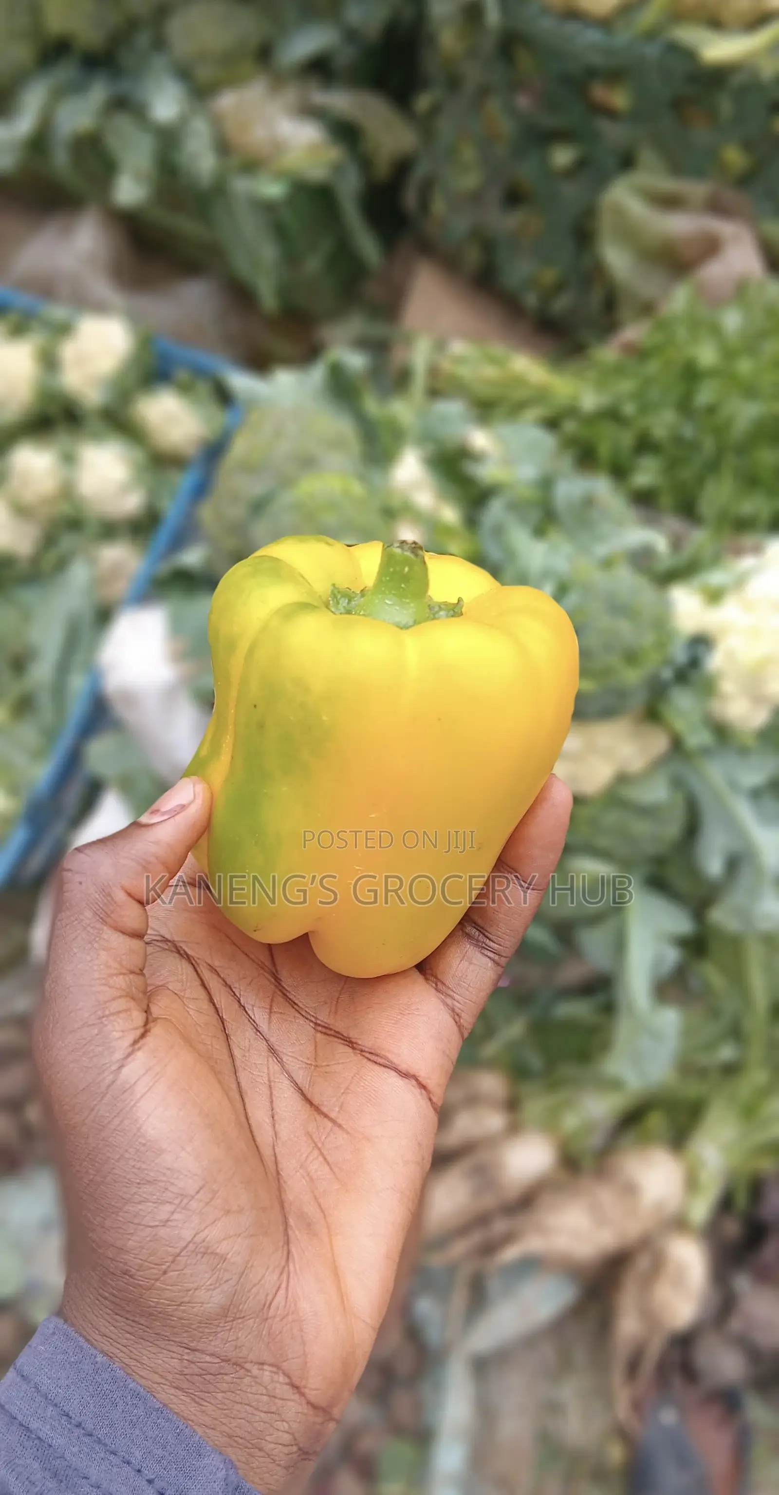 Bell Pepper
