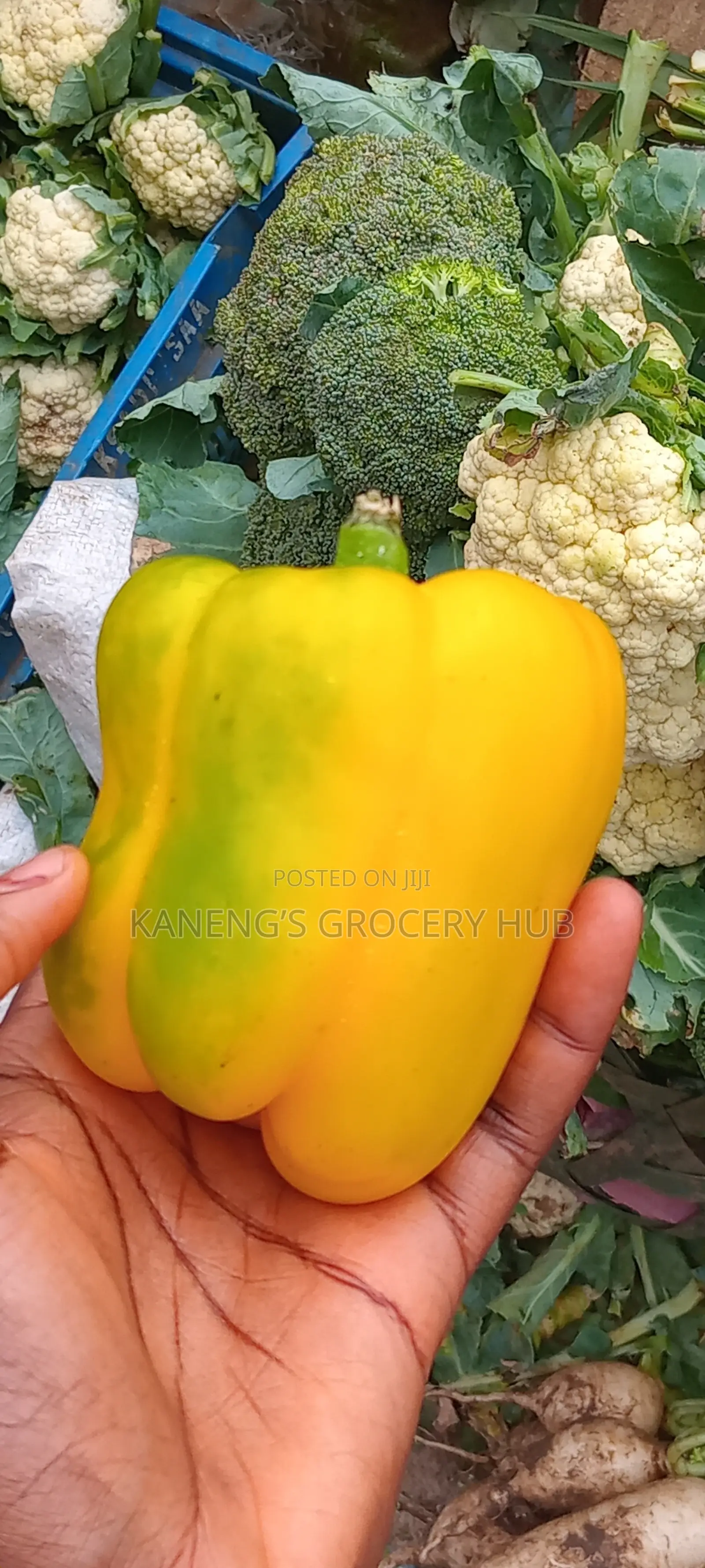 Bell Pepper
