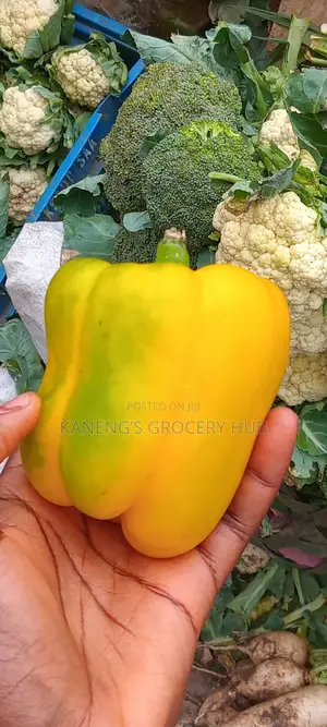 Bell Pepper