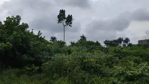 Land Property for Sale