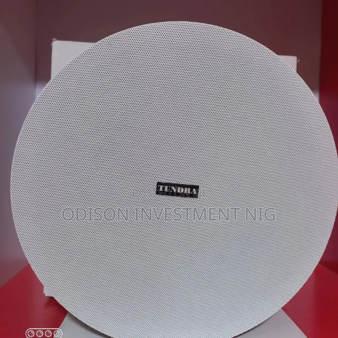 80w Tundra Bluetooth Ceiling Speaker