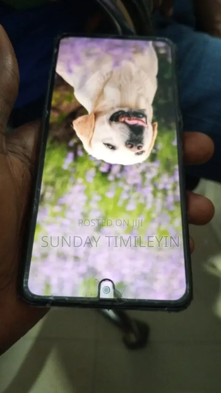 Xiaomi Redmi Note 10S 128 GB Gray