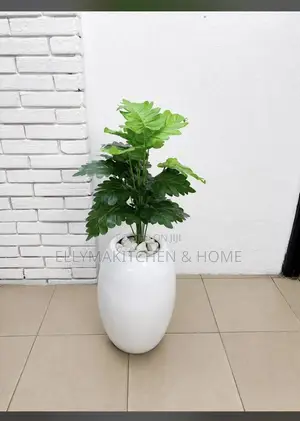 Combo Mini Plant With Classic Fiber Pot (100cm)