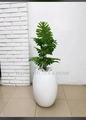 Combo Mini Plant With Classic Fiber Pot (100cm)